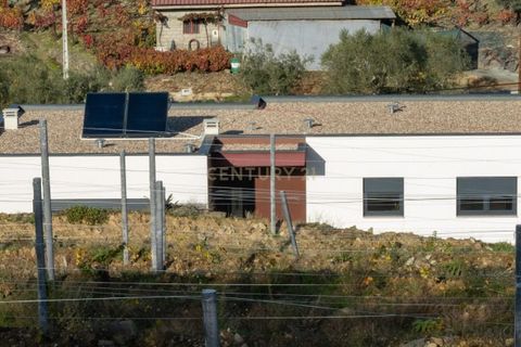 Villa i Tabuaco, Viseu, Tabuaco - € 500.000 | Ref: C0444-00642 - foto 49