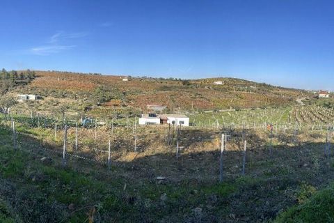 Villa i Tabuaco, Viseu, Tabuaco - € 500.000 | Ref: C0444-00642 - foto 50