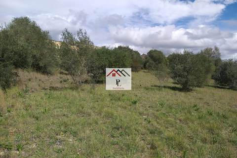 Helårsgrund i Coimbra, Coimbra, Coimbra - € 273.000 | Ref: V928JB - foto 15