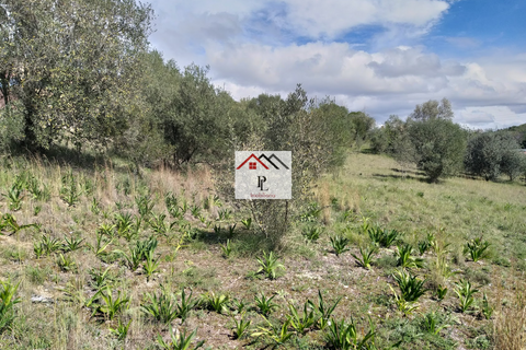 Helårsgrund i Coimbra, Coimbra, Coimbra - € 273.000 | Ref: V928JB - foto 16