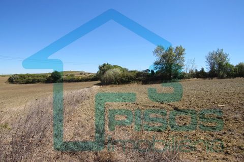 Helårsgrund i Alenquer, Lisbon, Alenquer - € 170.000 | Ref: 6320 - foto 7