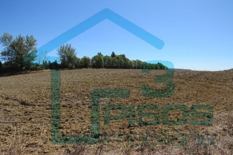 Helårsgrund i Alenquer, Lisbon, Alenquer - € 170.000 | Ref: 6320 - foto 9