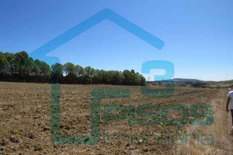 Helårsgrund i Alenquer, Lisbon, Alenquer - € 170.000 | Ref: 6320 - foto 10