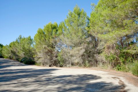 Helårsgrund i Son Vida, Mallorca, Son Vida - € 2.000.000 | Ref: 51028 - foto 1