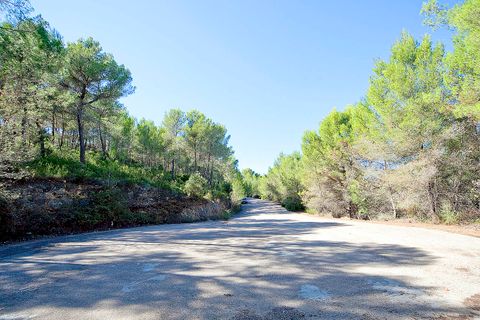 Helårsgrund i Son Vida, Mallorca, Son Vida - € 2.000.000 | Ref: 51028 - foto 3