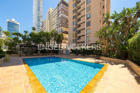 Lejlighed i Benidorm, Alicante, Benidorm - € 900.000 | Ref: W-02VJKE - foto 26