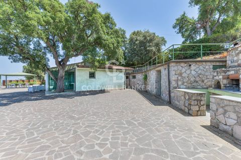 Villa i Capoliveri, Livorno, Capoliveri - € 1.350.000 | Ref: CBI123-1458-180 - foto 37