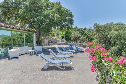 Villa a Capoliveri, Livorno, Capoliveri - € 2.700.000 | Ref: CBI123-1458-184 - foto 7