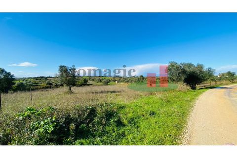 Terra a Assentiz, Santarem, Assentiz - € 10.000 | Ref: 131.25 - foto 2
