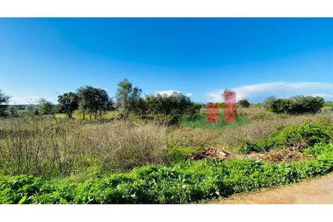 Terra a Assentiz, Santarem, Assentiz - € 10.000 | Ref: 131.25 - foto 3
