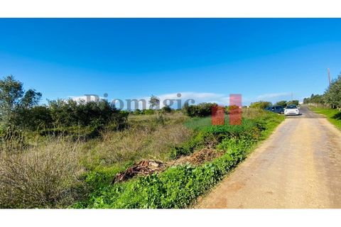 Terra a Assentiz, Santarem, Assentiz - € 10.000 | Ref: 131.25 - foto 6