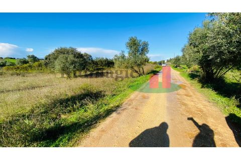 Terra a Assentiz, Santarem, Assentiz - € 10.000 | Ref: 131.25 - foto 7