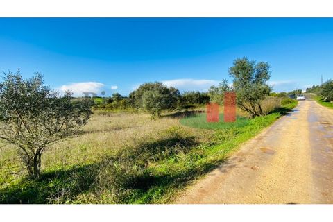 Terra a Assentiz, Santarem, Assentiz - € 10.000 | Ref: 131.25 - foto 8