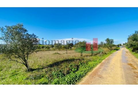 Terra a Assentiz, Santarem, Assentiz - € 10.000 | Ref: 131.25 - foto 9