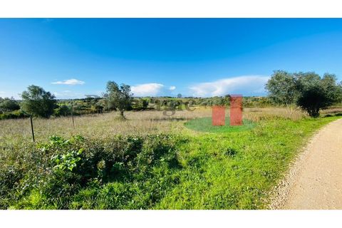 Terra a Assentiz, Santarem, Assentiz - € 10.000 | Ref: 131.25 - foto 10