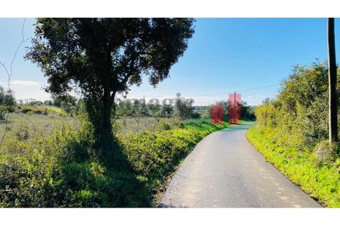 Terra a Assentiz, Santarem, Assentiz - € 10.000 | Ref: 131.25 - foto 11