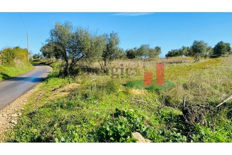 Terra a Assentiz, Santarem, Assentiz - € 10.000 | Ref: 131.25 - foto 12