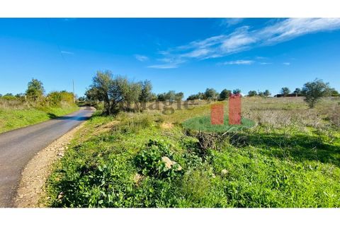Terra a Assentiz, Santarem, Assentiz - € 10.000 | Ref: 131.25 - foto 15