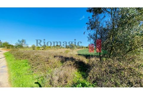 Terra a Assentiz, Santarem, Assentiz - € 10.000 | Ref: 131.25 - foto 16