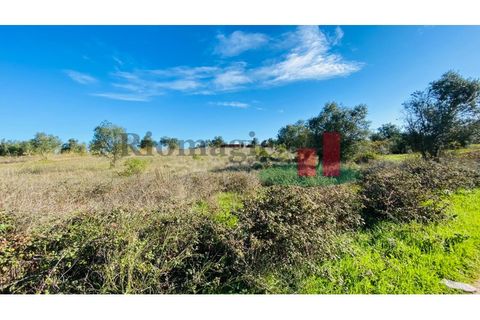 Terra a Assentiz, Santarem, Assentiz - € 10.000 | Ref: 131.25 - foto 17