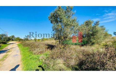 Terra a Assentiz, Santarem, Assentiz - € 10.000 | Ref: 131.25 - foto 18