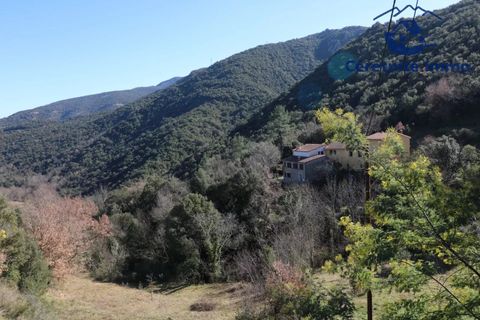 Villa i Reynès, Pyrenees-Orientales, Reynès - € 196.000 | Ref: 1087 - foto 5