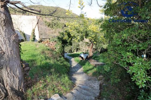Villa i Reynès, Pyrenees-Orientales, Reynès - € 196.000 | Ref: 1087 - foto 6