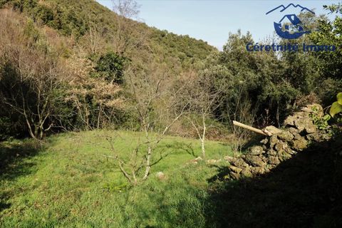 Villa i Reynès, Pyrenees-Orientales, Reynès - € 196.000 | Ref: 1087 - foto 16