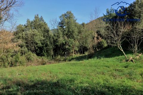 Villa i Reynès, Pyrenees-Orientales, Reynès - € 196.000 | Ref: 1087 - foto 17