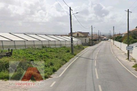 Helårsgrund i Torres Vedras, Lisbon, Torres Vedras - € 545.000 | Ref: 250401 - foto 3