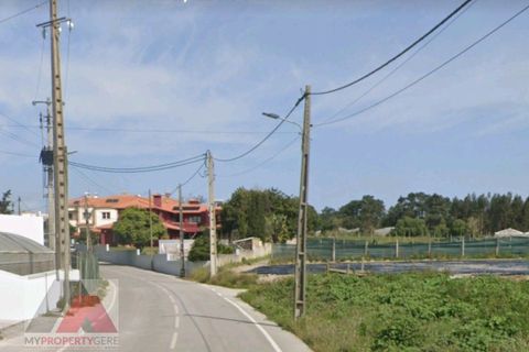 Helårsgrund i Torres Vedras, Lisbon, Torres Vedras - € 545.000 | Ref: 250401 - foto 19