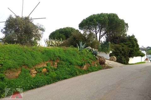 Helårsgrund i Torres Vedras, Lisbon, Torres Vedras - € 89.000 | Ref: 250501 - foto 9