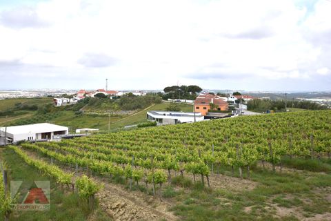Helårsgrund i Torres Vedras, Lisbon, Torres Vedras - € 89.000 | Ref: 250501 - foto 12