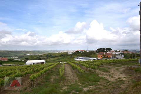 Helårsgrund i Torres Vedras, Lisbon, Torres Vedras - € 89.000 | Ref: 250501 - foto 13