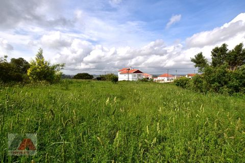 Helårsgrund i Torres Vedras, Lisbon, Torres Vedras - € 89.000 | Ref: 250501 - foto 15