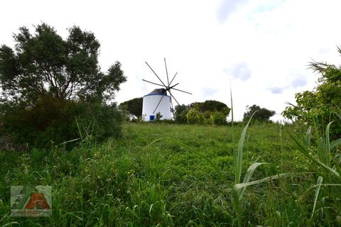 Helårsgrund i Torres Vedras, Lisbon, Torres Vedras - € 89.000 | Ref: 250501 - foto 16