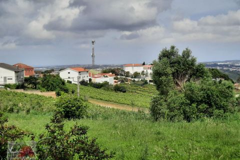 Helårsgrund i Torres Vedras, Lisbon, Torres Vedras - € 89.000 | Ref: 250501 - foto 23