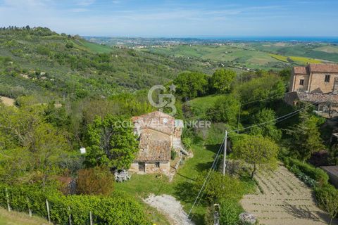 Landejendom i Saludecio, Rimini, Saludecio - € 285.000 | Ref: CBI099-1528-520668 - foto 11