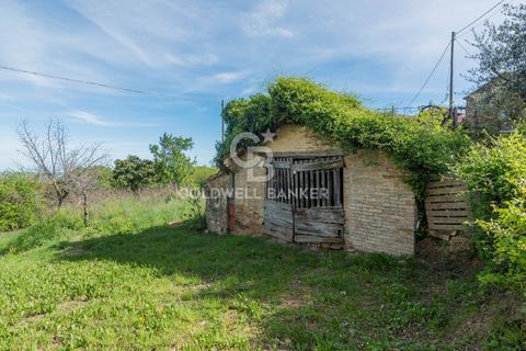 Landejendom i Saludecio, Rimini, Saludecio - € 285.000 | Ref: CBI099-1528-520668 - foto 27