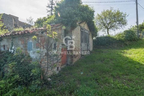 Landejendom i Saludecio, Rimini, Saludecio - € 285.000 | Ref: CBI099-1528-520668 - foto 30