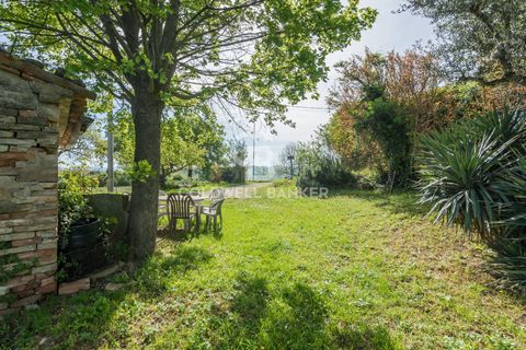 Landejendom i Saludecio, Rimini, Saludecio - € 285.000 | Ref: CBI099-1528-520668 - foto 31