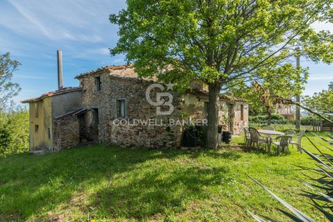 Landejendom i Saludecio, Rimini, Saludecio - € 285.000 | Ref: CBI099-1528-520668 - foto 32