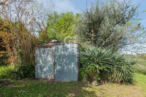 Landejendom i Saludecio, Rimini, Saludecio - € 285.000 | Ref: CBI099-1528-520668 - foto 34