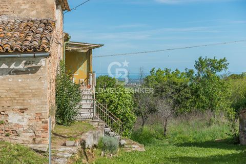 Landejendom i Saludecio, Rimini, Saludecio - € 285.000 | Ref: CBI099-1528-520668 - foto 42