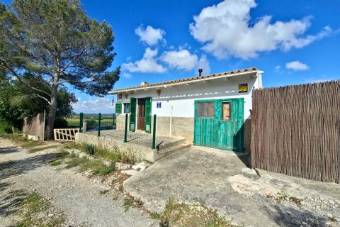 Finca i Manacor, Mallorca, Manacor - € 260.000 | Ref: FALC-HeMa-69471 - foto 13