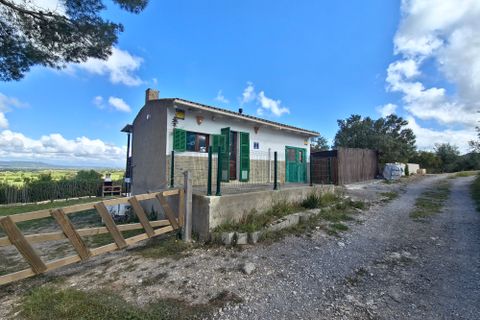Finca i Manacor, Mallorca, Manacor - € 260.000 | Ref: FALC-HeMa-69471 - foto 14