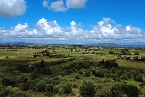Finca i Manacor, Mallorca, Manacor - € 260.000 | Ref: FALC-HeMa-69471 - foto 24