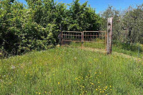 Villa a Fabro, Terni, Fabro - € 150.000 | Ref: OR6211M-486018 - foto 5