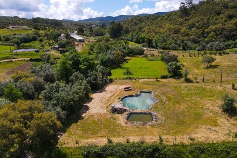 Helårsgrund i Odemira, Beja, Odemira - € 129.000 | Ref: C0369-00741 - foto 27