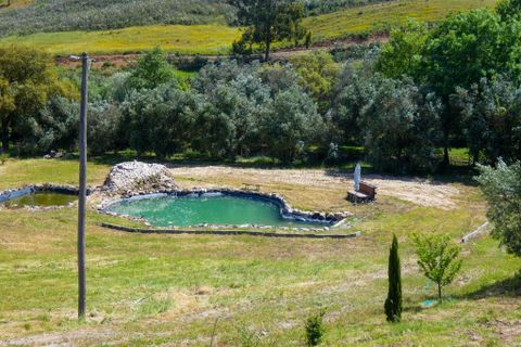 Helårsgrund i Odemira, Beja, Odemira - € 129.000 | Ref: C0369-00741 - foto 31